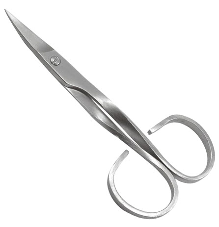 Common Scissors